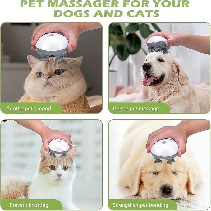 Head and Body Massager